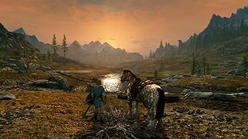 Amazon.com: The Elder Scrolls V: Skyrim (Nintendo Switch) : Video